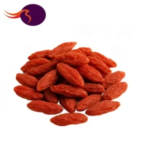  گوجی بری